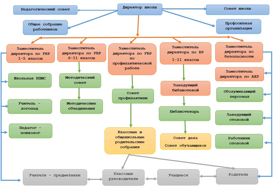 Структура социального проекта в школе образец